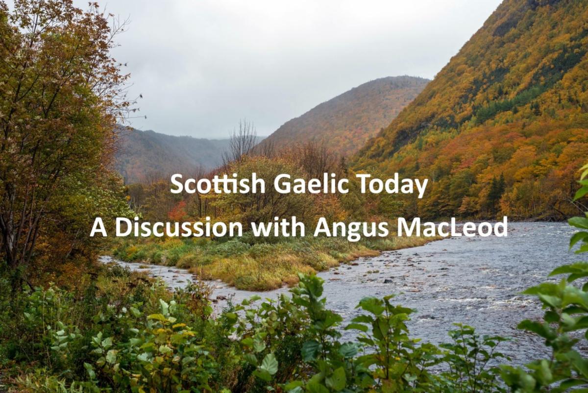 Scottish Gaelic Today - Angus MacLeod
