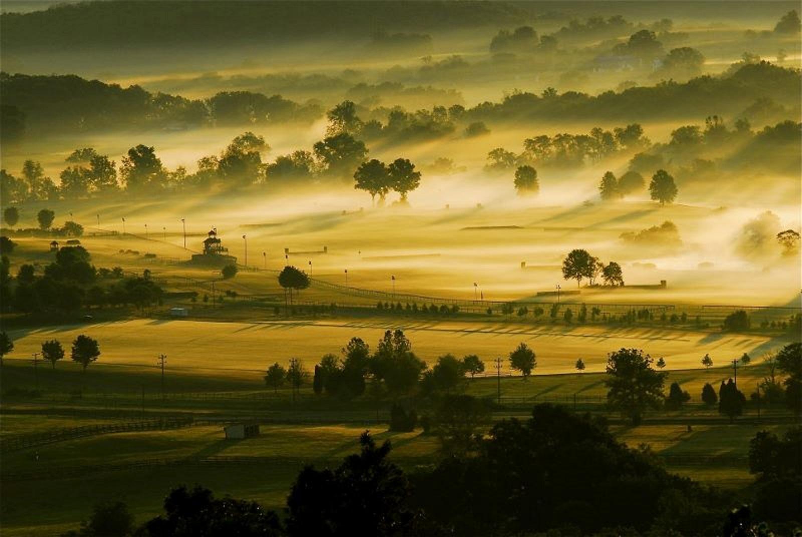 The Great Meadow, The Plains, VA